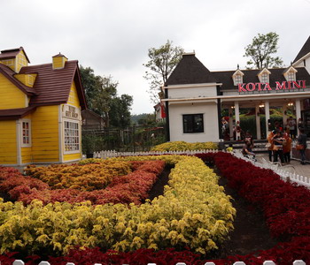 Image Tour